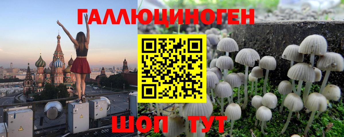 купить наркотик  Псилоцибиновые грибы мицелий  Вход с VPN  Псилоцибиновые грибы ЛСД  Камышлов 